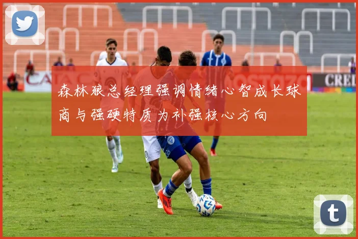 森林狼总经理强调情绪心智成长球商与强硬特质为补强核心方向