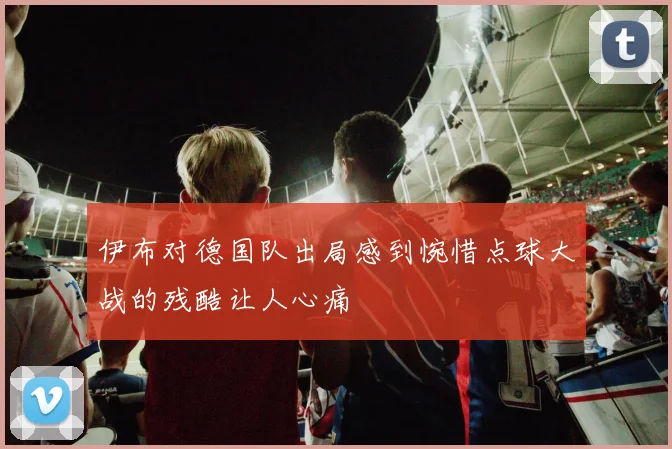 伊布对德国队出局感到惋惜点球大战的残酷让人心痛