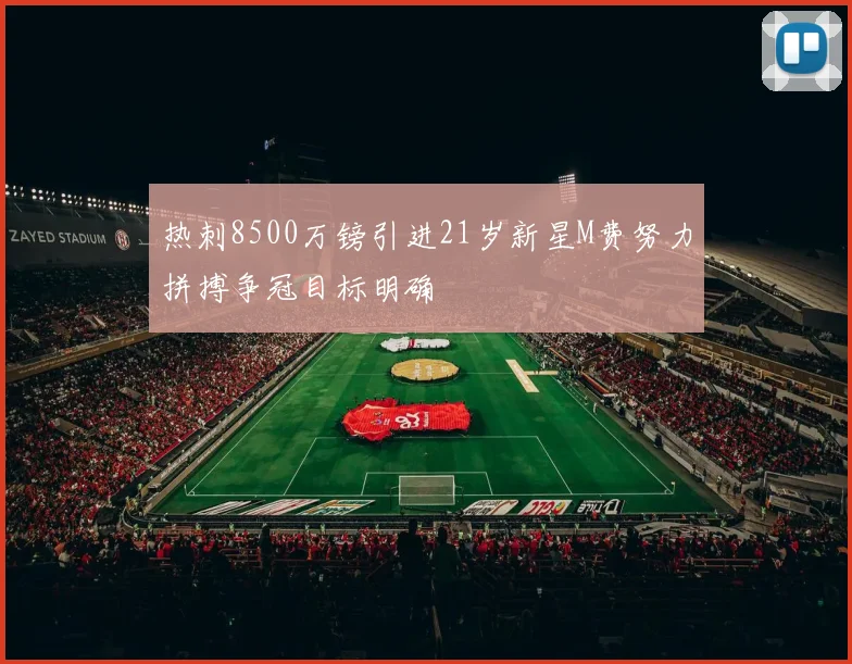热刺8500万镑引进21岁新星M费努力拼搏争冠目标明确